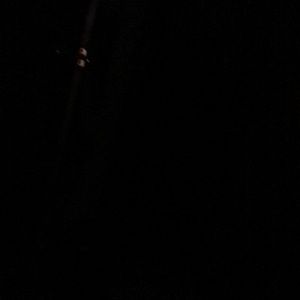 Meet your Posher, Glenda